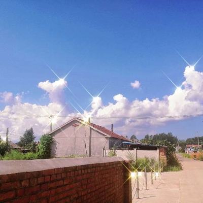 圣墟小米版下载